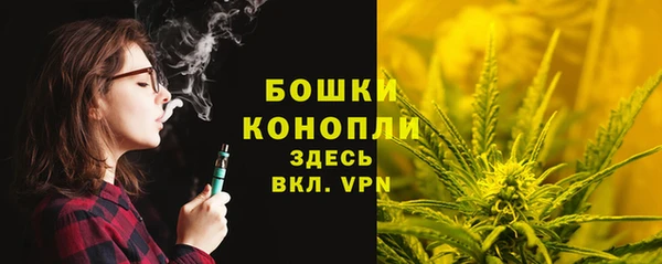 трава Алзамай