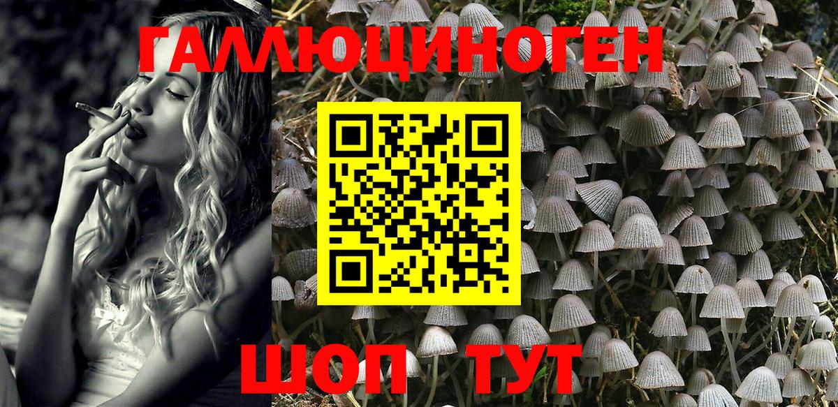 Псилоцибиновые грибы Psilocybine cubensis  Вход с VPN  Кропоткин 