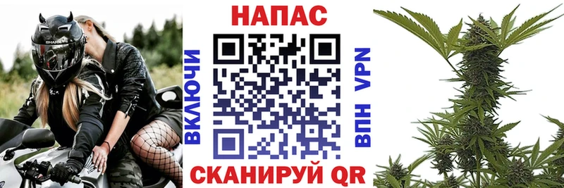Шишки марихуана VHQ  Кропоткин 